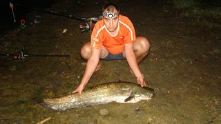 Blasova 2012